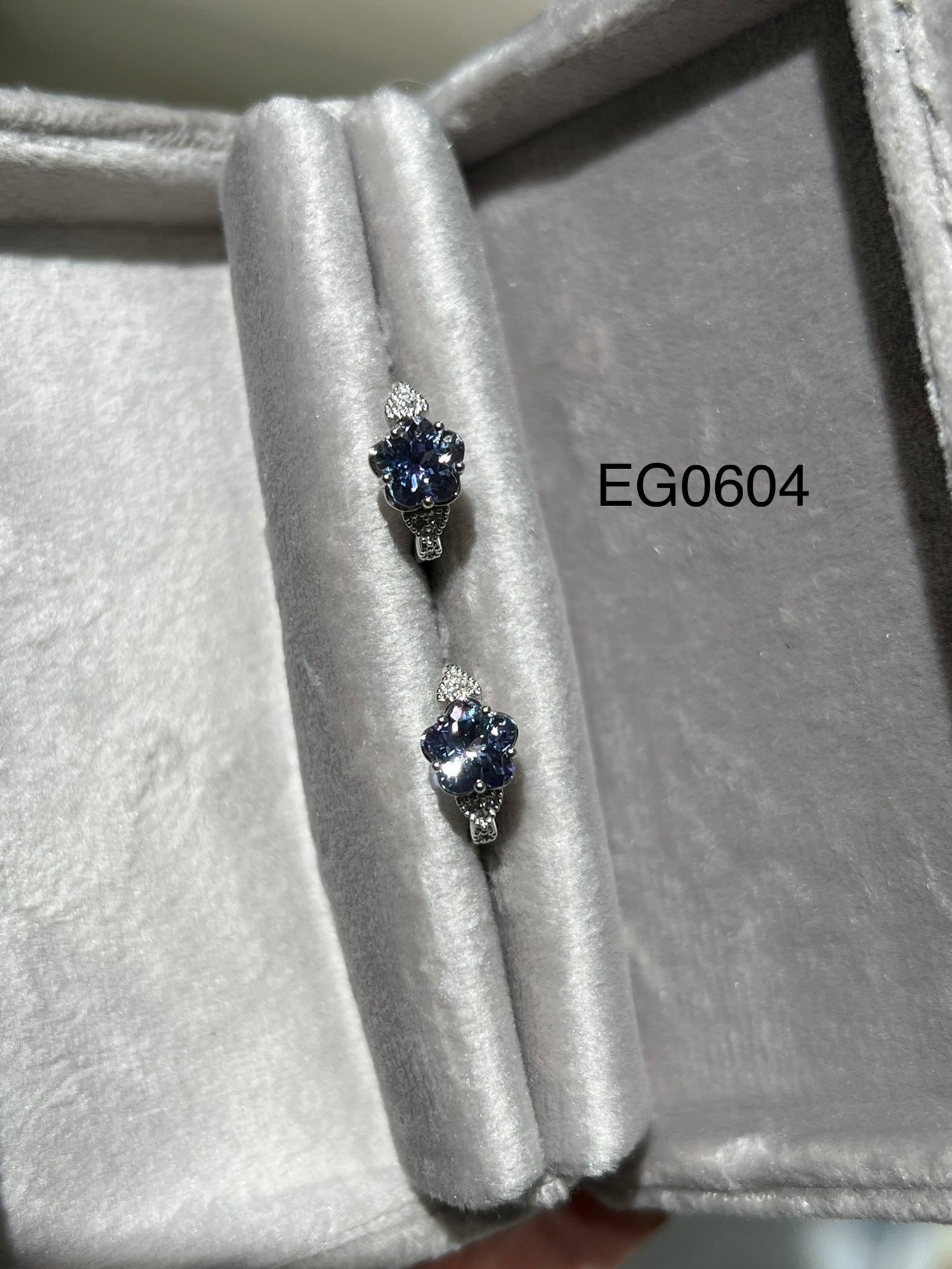 EG0604