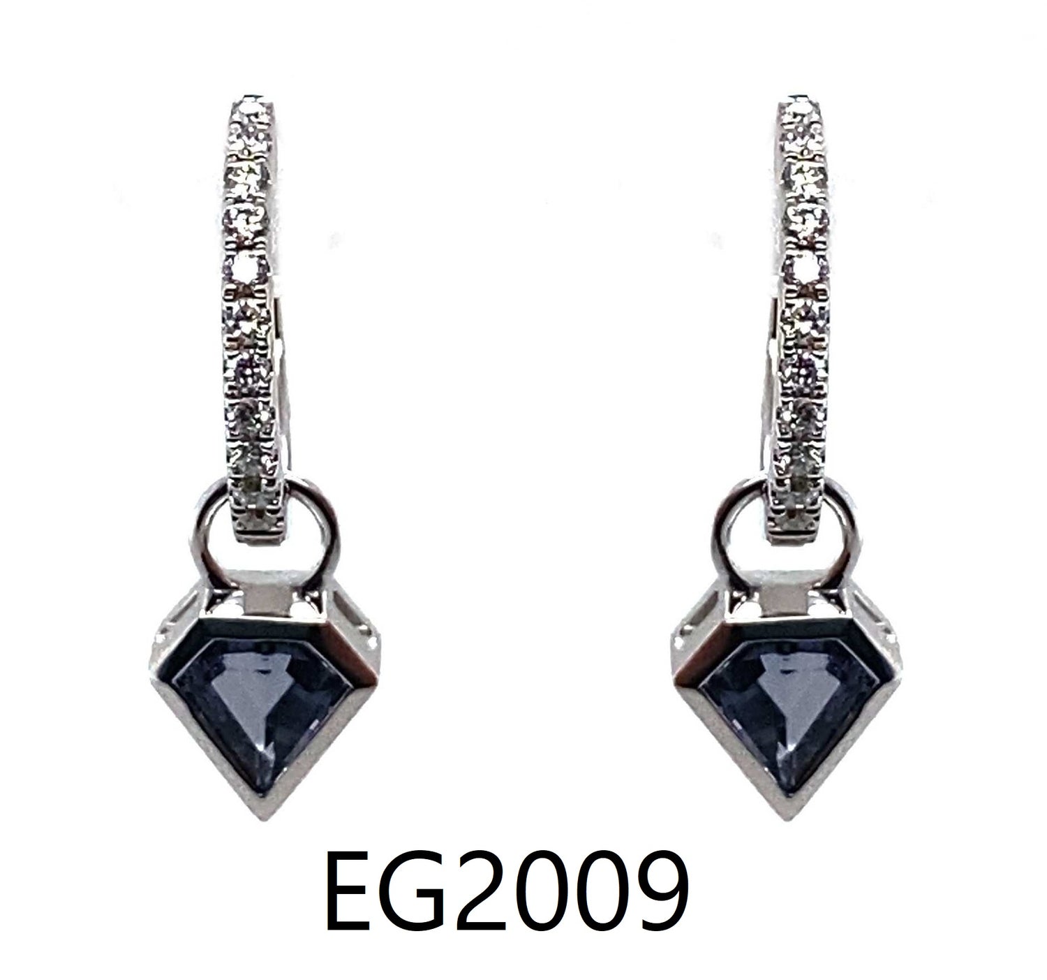 EG2009